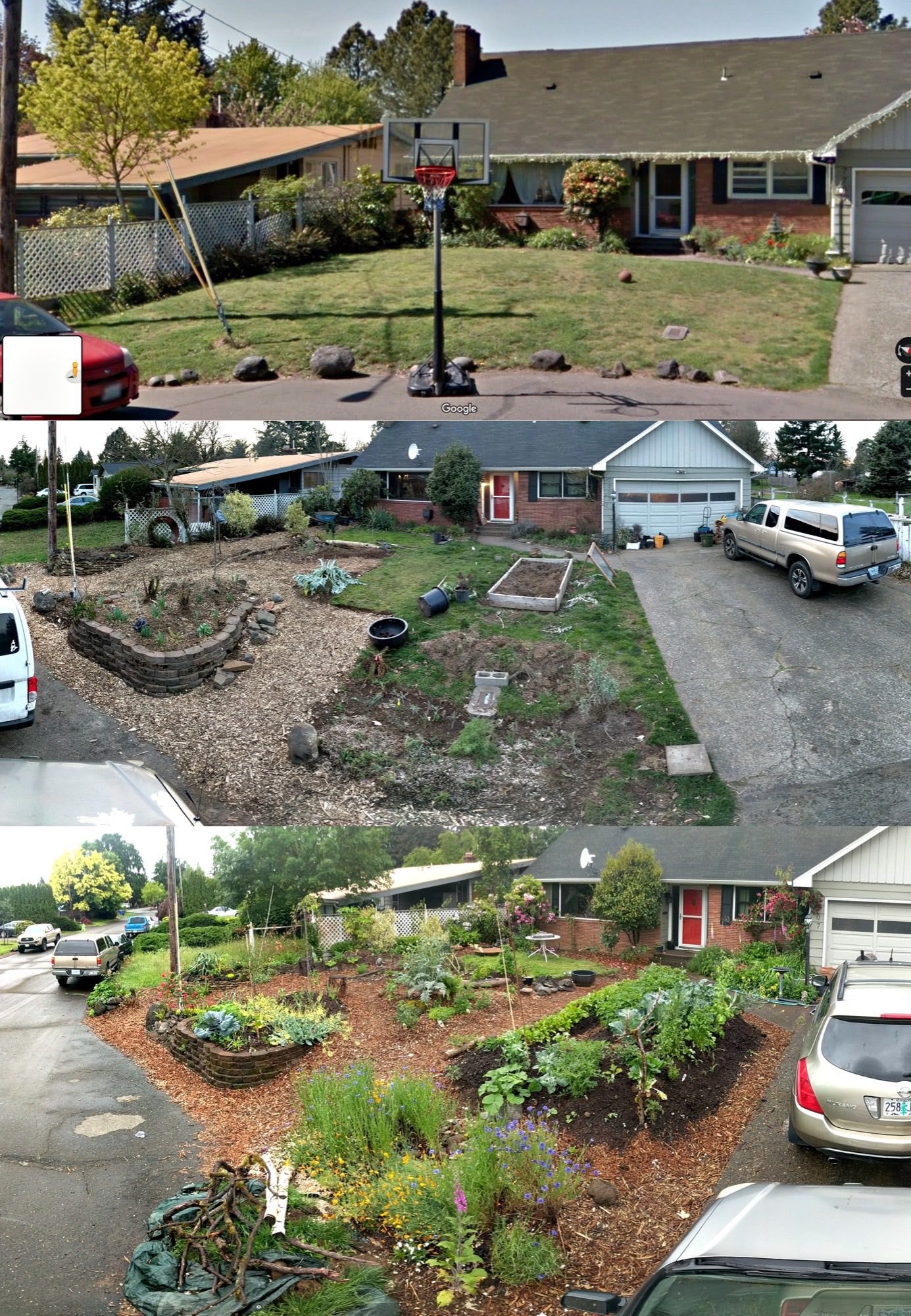 Three-stage before, during, and after comparison of a front yard converted to a food forest