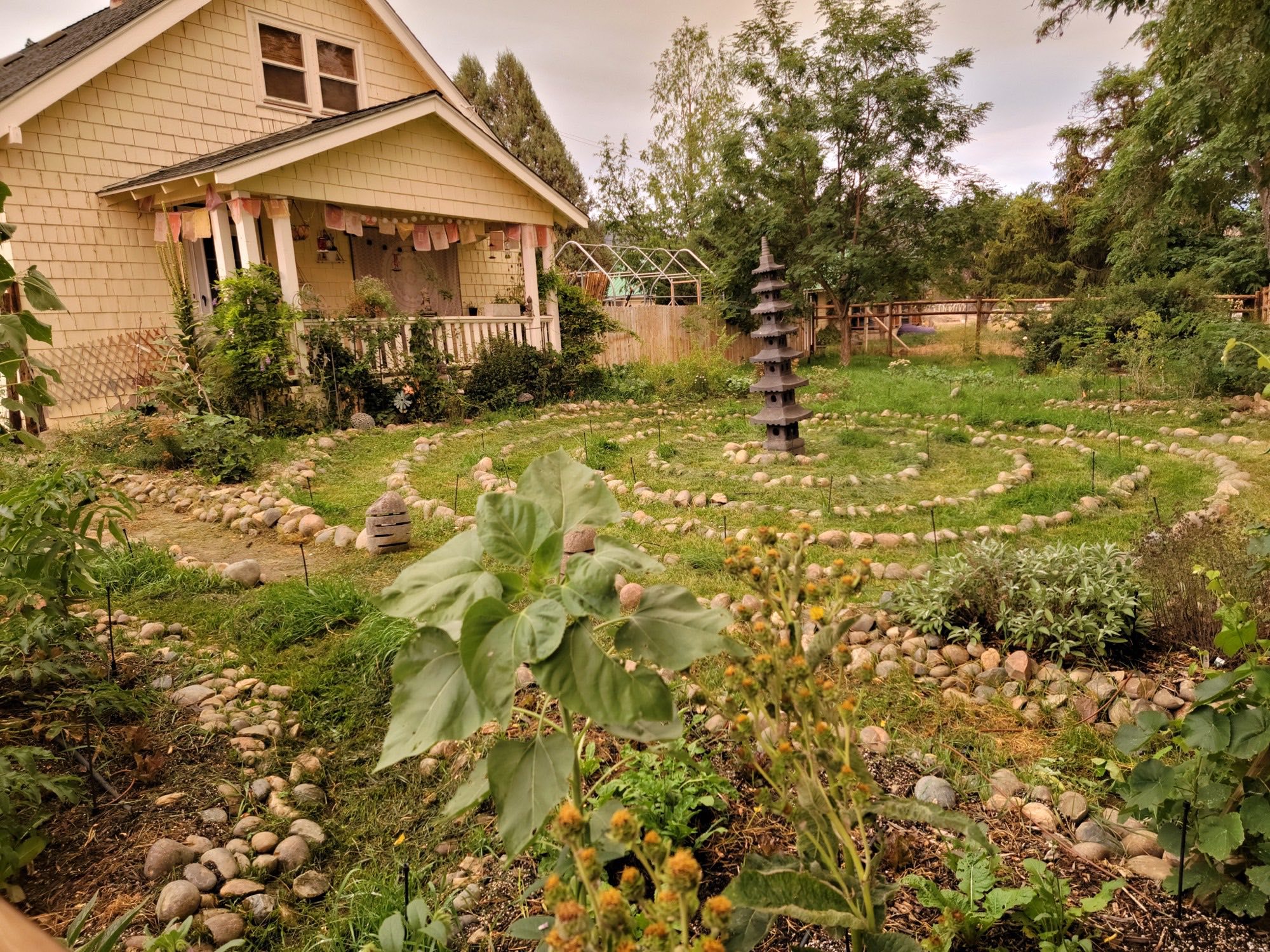 Terraced hillside food forest with layered edible plantings surrounding a home