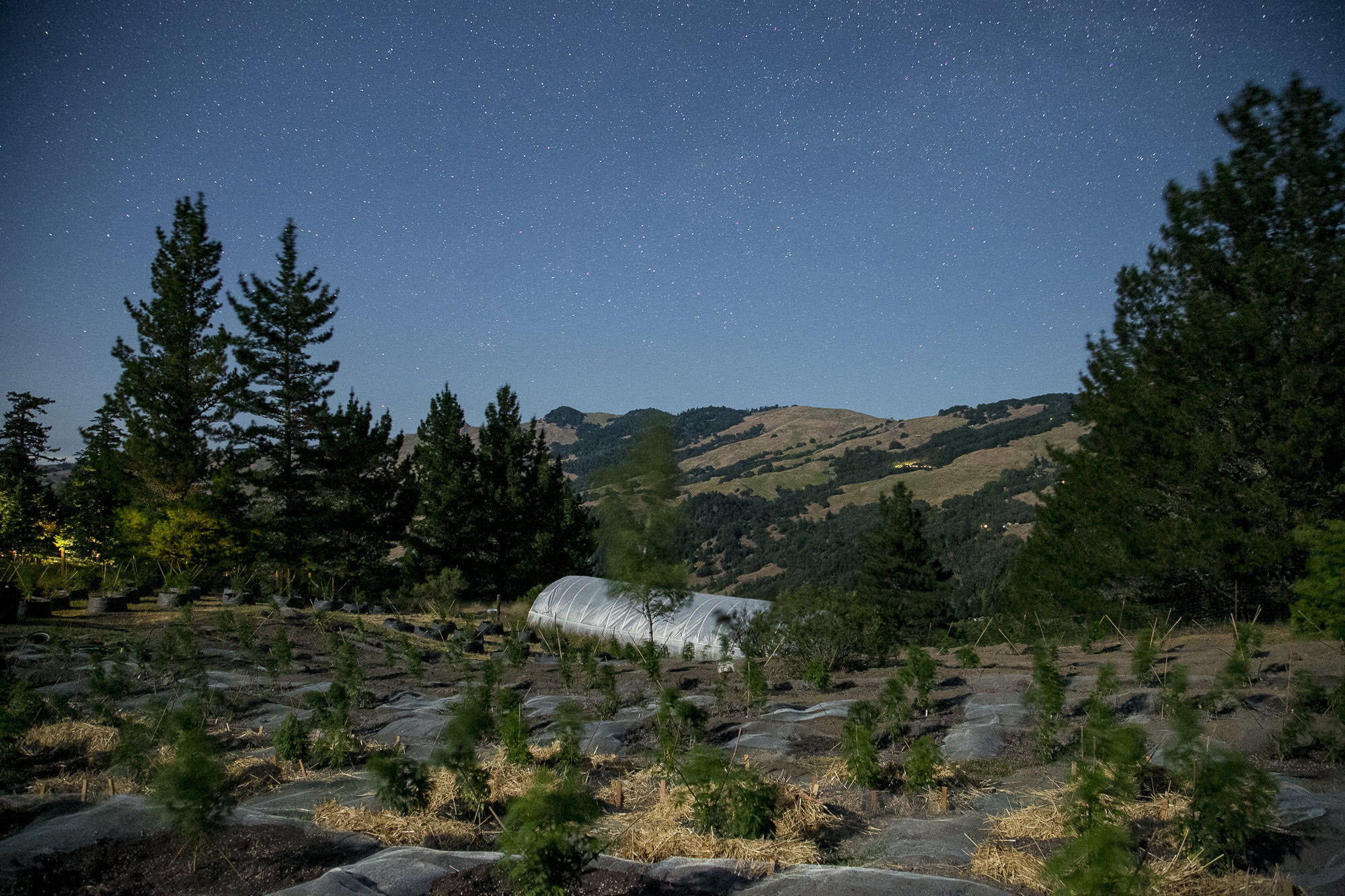 HDR view of the finished landscape