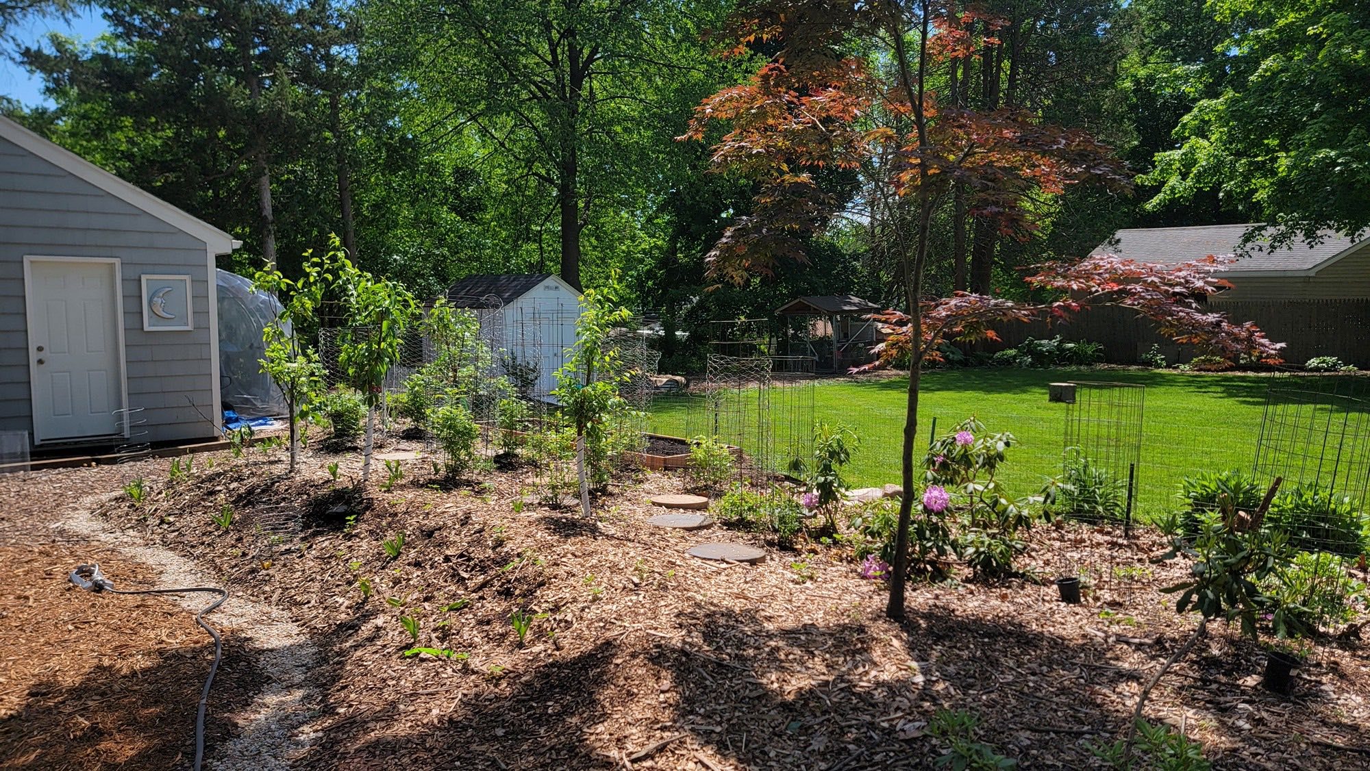 Healthy no-till garden beds built on living soil