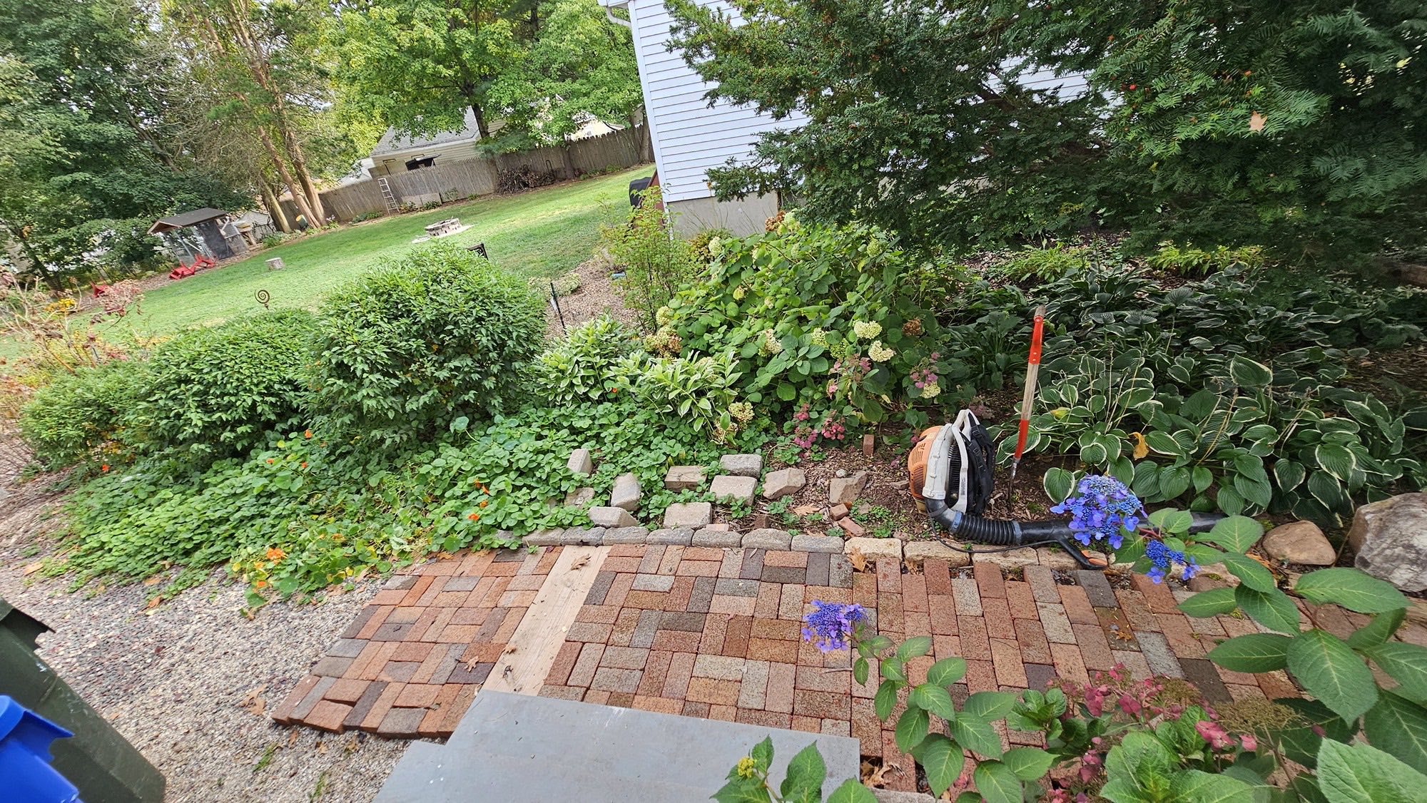 Garden beds thriving on biologically active soil